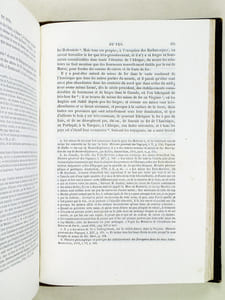 Oeuvres complètes de Buffon. Tome 10 : Les Minéraux