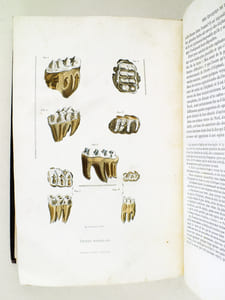 Oeuvres complètes de Buffon. Tome 9 : Introduction aux Minéraux - Epoques de la Nature