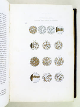 Oeuvres complètes de Buffon. Tome 1 : Théorie de la Terre - Histoire générale des Animaux. BUFFON ; FLOURENS ; [ TRAVIES ; GOBIN, Henry ; etc. ] 
