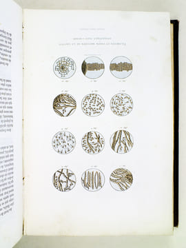 Oeuvres complètes de Buffon. Tome 1 : Théorie de la Terre - Histoire générale des Animaux. BUFFON ; FLOURENS ; [ TRAVIES ; GOBIN, Henry ; etc. ] 