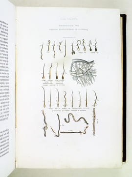Oeuvres complètes de Buffon. Tome 1 : Théorie de la Terre - Histoire générale des Animaux. BUFFON ; FLOURENS ; [ TRAVIES ; GOBIN, Henry ; etc. ] 