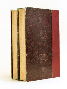 Histoire Naturelle et Sociale de l'Humanité (2 Tomes - Complet) Tome I : La Genèse de la Terre et de l'Homme ; Tome II : Le Monde Primitif. Les Lois ...