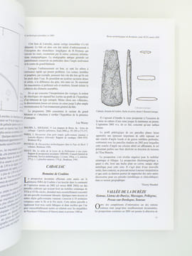 Revue archéologique de Bordeaux - Tome XCVI , Année 2005. Société Archéologique de Bordeaux