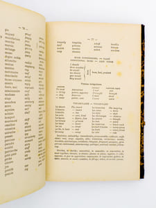 L'anglais simplifié , méthode à la portée de tous, destiné aux écoles, aux familles et aux gens du monde ( méthode Engelbrecht-Bauer )
