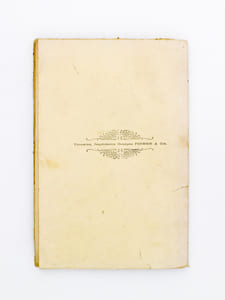 Un jeune apôtre , Marc-Raymond Caussé , 1871-1894
