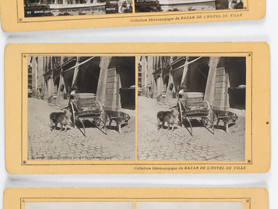 Lot de 24 vues photographiques stéréoscopiques de Suisse : Interlaken, Grindelwald und Bern [ Collection Stéréoscopique du Bazar de l'Hôtel de Ville ] Numéros 1 : Grindelwald. La vallée et l'Eiger - 5 : Interlaken. Entrée des jardins du Kursaal - 6 : Interlaken. Le Kursaal - 7 : Interlaken. Vue prise de la Heimwehfluh - 8 : Interlaken. Vue prise de la Heimwehfluh - 9 : Interlaken. L'aar à Unterseen - 10 : Interlaken. L'Aar et le Harder - 12 : Interlaken. Vue prise du petit Rugen vers la Jungsfrau - 13 : Interlaken. Marktgasse - 14 : Interlaken. Châlets Suisse au Matten - 15 - Interlaken. L'Aar et le grand Rugen - 21 : Interlaken. Le Port - 18 : Interlaken. Vue prise de la Höheweg - 16 : Interlaken. La promenade de la Höheweg - 19 : Interlaken. La Höheweg et le Harder - 20 : Interlaken. Vue prise de la Höheweg vers la Schynigge-Platte - 24 : Interlaken. La Jungfrau prise de la Höheweg - 25 : Interlaken. Unterseen - 26 : Interlaken. Vue prise du Rugen vers le Boedeli - 27 : Interlaken. Vue prise du Rugen vers la Trinkhalle - 28 : Interlaken. Vue prise de Hohbühl et 12 : Berne. La fosse aux Ours - 23 : Berne. Façade du Palais Fédéral - 33 : Berne : Laitier et les chiens attelés
