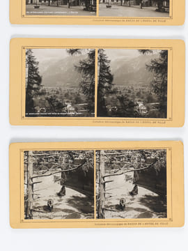 Lot de 24 vues photographiques stéréoscopiques de Suisse : Interlaken, Grindelwald und Bern [ Collection Stéréoscopique du Bazar de l'Hôtel de Ville ] ...