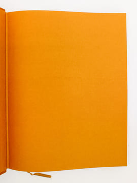 Chefs-d'oeuvre immortels de la peinture ( 8 tomes, complet ) : 1. Musée du Louvre, Musée du Jeu de Paume, Musée de Bâle, Musée de Vienne ; 2. Musée ...