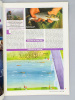 Pêche pratique , le magazine qui réussit à tous les pêcheurs - Année 1995 ( du n° 22 de janvier au n° 33, année complète ). Pêche pratique (revue) ; ...