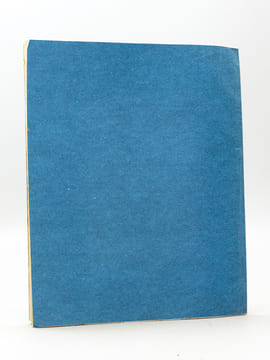 De la Bronchite généralisée suffocante. Thèse présentée à la Faculté de Médecine de Strasbourg, soutenue le 8 janvier 1869 [ Edition originale - Livre ...