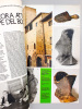 Foto Shoe 30 - Mensile della Editecnica Italiana S.R.L. , Anno X , N. 3 Marzo 1978 . Foto Shoe 30 - Mensile ; Pizzocaro, Adriano (dir. responsabile)