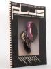 PLUS International Shoe Design : N° 59 Herbst Winter , Autumno Inverno , Autumn Winter , Automne Hiver 1986/87 - Elegante Damenschuhe , Ladies' ...