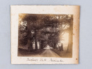 2 Old Photographs : Duchess's Walk - Sevenoaks [ Knole Park, Kent, UK ] and William and "Gerty". Collectif