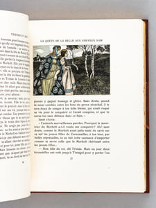 Le Roman de Tristan et Iseut