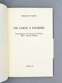 Un laico a Lourdes