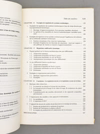La régulation économique dans l'entreprise [ Tome 2 sur 2 ] - Deuxième tome : la régulation dynamique