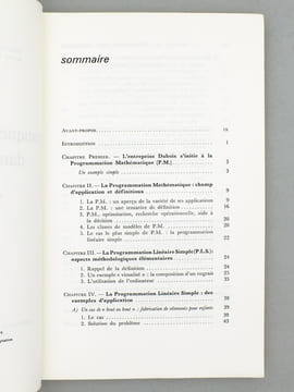 La pratique de l'optimisation. BENAYOUN, Raphaël