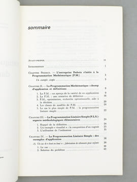 La pratique de l'optimisation. BENAYOUN, Raphaël