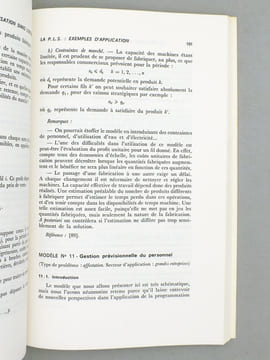 La pratique de l'optimisation. BENAYOUN, Raphaël