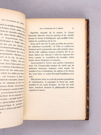 Les Puissances et l'Amour ou l'Essence de Soleil [ Edition originale ]