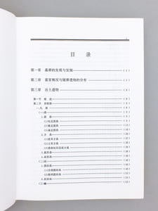 ( Xingan shangdai damu )        [ The Large Shang Tomb in Xingan ]