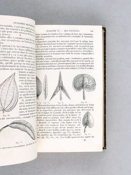 Précis de Botanique et de Physiologie végétale (2 Tomes - Complet) [ Edition originale ] Contenant l'organographie, l'anatomie et la physiologie ...