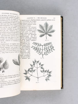 Précis de Botanique et de Physiologie végétale (2 Tomes - Complet) [ Edition originale ] Contenant l'organographie, l'anatomie et la physiologie ...