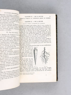 Précis de Botanique et de Physiologie végétale (2 Tomes - Complet) [ Edition originale ] Contenant l'organographie, l'anatomie et la physiologie ...