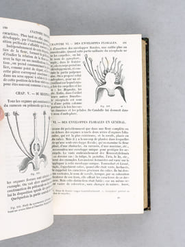 Précis de Botanique et de Physiologie végétale (2 Tomes - Complet) [ Edition originale ] Contenant l'organographie, l'anatomie et la physiologie ...