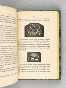 La Vigne, l'Oïdium, le Vin. Trois leçons du Cours de Chimie Agricole. Suivies d'une notice sur la préparation des boissons artificielles. [ Edition originale ]