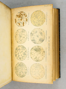 Traité des Maladies des Vins. Description. Etude. Traitement [ Edition originale ]