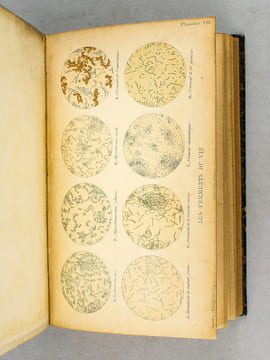 Traité des Maladies des Vins. Description. Etude. Traitement [ Edition originale ]. SEMICHON, Lucien ; GAYON, Ulysse