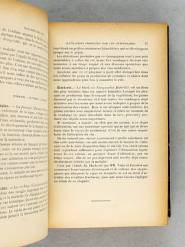 Traité des Maladies des Vins. Description. Etude. Traitement [ Edition originale ]. SEMICHON, Lucien ; GAYON, Ulysse