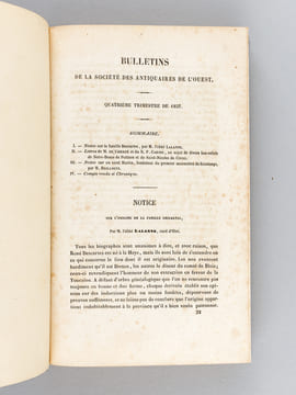 [ Recueil d'articles relatifs à la Famille de Descartes ] Notice sur la famille Descartes, par M. l'abbé Lalanne [ Avec : ] Origines tourangelles de ...
