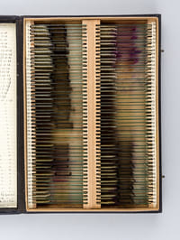 3 boîtes recueillant 211 préparations microscopiques [ 100, 96 et 15 ] de vins, datées du 1er avril 1935 au 10 mars 1937