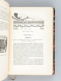La Vie Antique. Manuel d'archéologie grecque et romaine. Première Partie : La Grèce [ Livre dédicacé par l'auteur ]