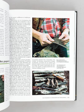 Le Monde de la Chasse. Gibiers - Techniques - Matériels. Collectif ; DURANTEL, Pascal