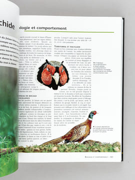 Le Monde de la Chasse. Gibiers - Techniques - Matériels. Collectif ; DURANTEL, Pascal