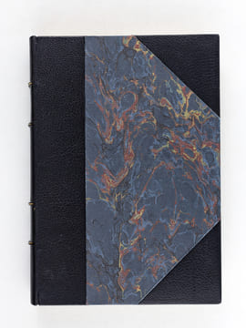 Vie d'Alphonse Daudet [ Edition originale ]. DAUDET, Lucien