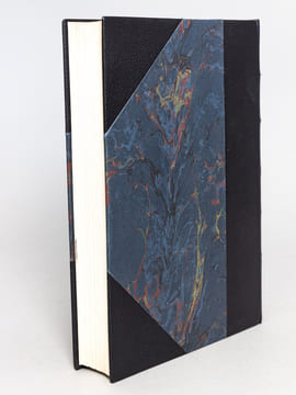 Vie d'Alphonse Daudet [ Edition originale ]. DAUDET, Lucien