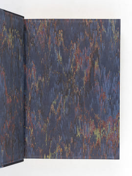 Vie d'Alphonse Daudet [ Edition originale ]. DAUDET, Lucien