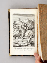 La Fidanzata Ligure ossia Usi, Costumanze e Caratteri dei Popoli della Riviera ai notris Tempi. Opera dell'autore della Sibilla Odaleta  [ Edition originale - Edizione originale ]