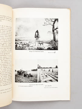 Le Problème de la Restauration des Landes de Gascogne [ Edition originale ]. PAPY, Louis