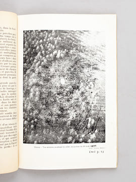 Le Problème de la Restauration des Landes de Gascogne [ Edition originale ]. PAPY, Louis