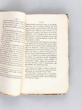 Dissertation sur Quelques Antiquités découvertes à Bordeaux en 1828, Petite rue de l'Intendance, précédée de l'examen d'une opinion de M. l'abbé ...
