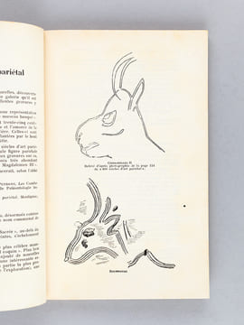 [ Lot suivi de 51 numéros du Tome IV de 1949 au Tome LIV de 1999 ] Préhistoire Spéléologie Ariégeoise. Bulletin de la Société Préhistorique de ...