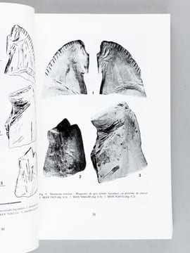 [ Lot suivi de 51 numéros du Tome IV de 1949 au Tome LIV de 1999 ] Préhistoire Spéléologie Ariégeoise. Bulletin de la Société Préhistorique de ...