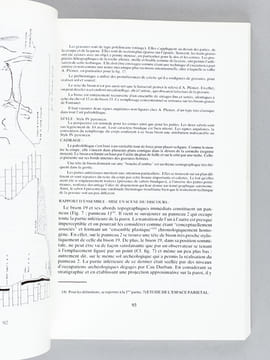 [ Lot suivi de 51 numéros du Tome IV de 1949 au Tome LIV de 1999 ] Préhistoire Spéléologie Ariégeoise. Bulletin de la Société Préhistorique de ...