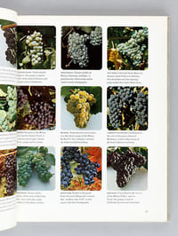 Wines and Spirits [ Copy signed by Sam Aaron to Hugues Lawton ]