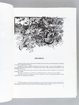 Les Chasses des palombes et des tourterelles.. ROCHER, Dr. Christian
